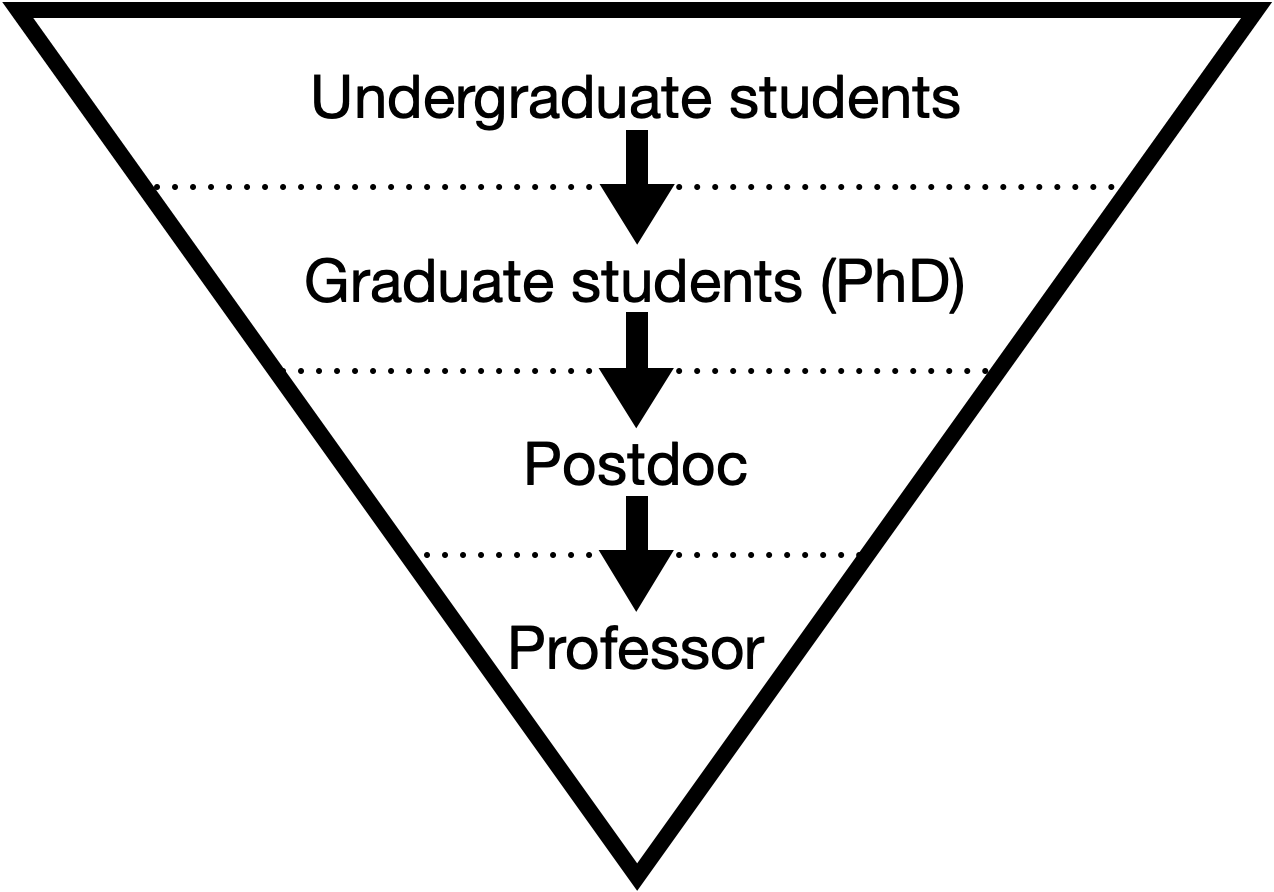 A triangle showing many undergraduates progressing to fewer graduates, to postdocs and very few professors